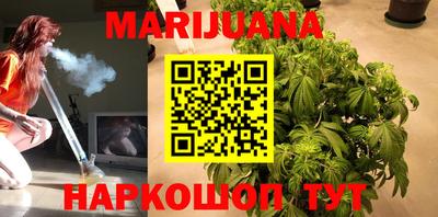 сатива Владимир