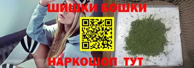 МДПВ Вышний Волочёк