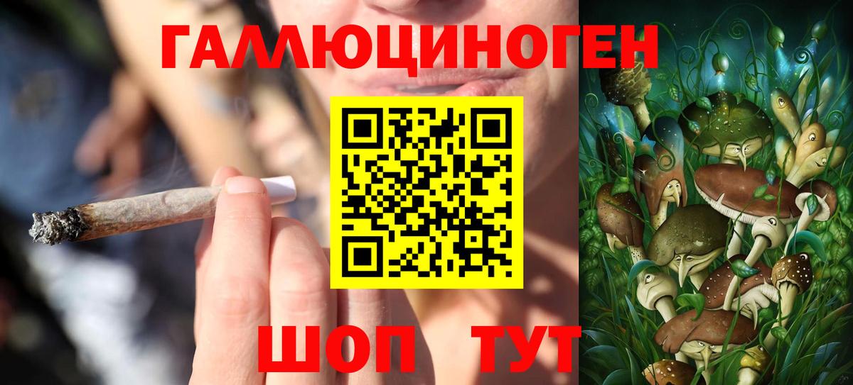 Галлюциногенные грибы Psilocybine cubensis Кольчугино