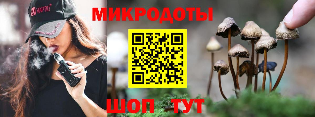 Галлюциногенные грибы мухоморы  Вход с VPN  Кольчугино 