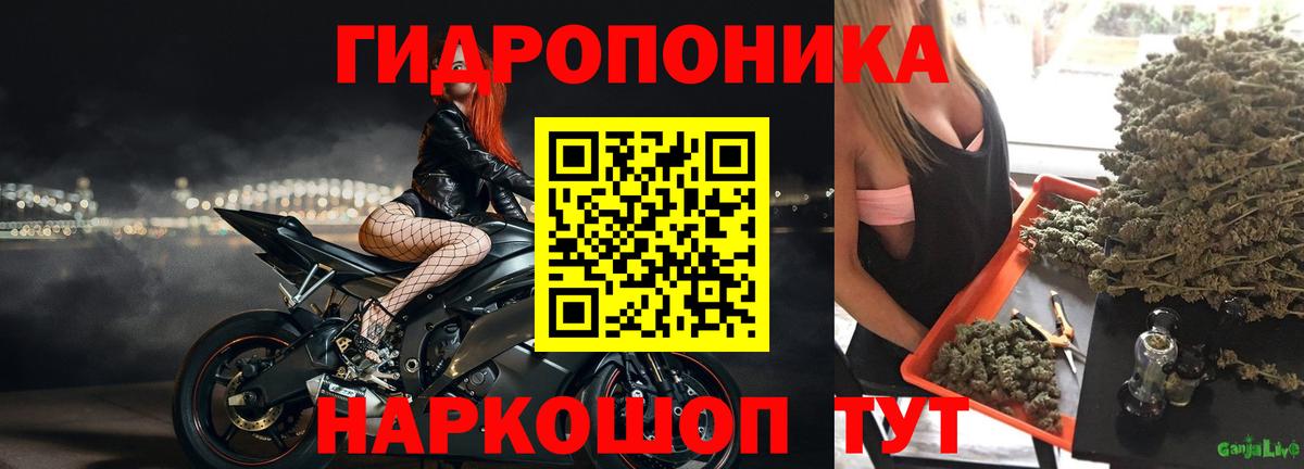 Бошки марихуана MAZAR Кольчугино